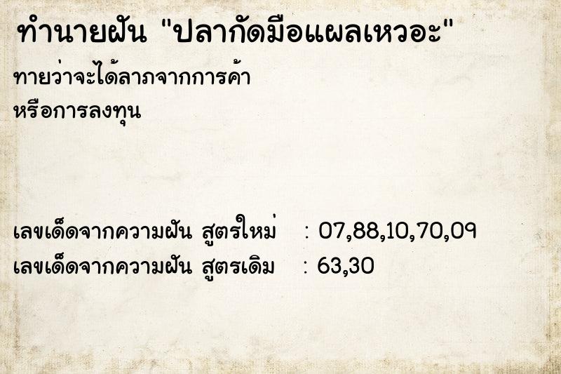 ทำนายฝันปลากัดมือแผลเหวอะ ทำนายฝันทำนายฝันปลากัดมือแผลเหวอะ