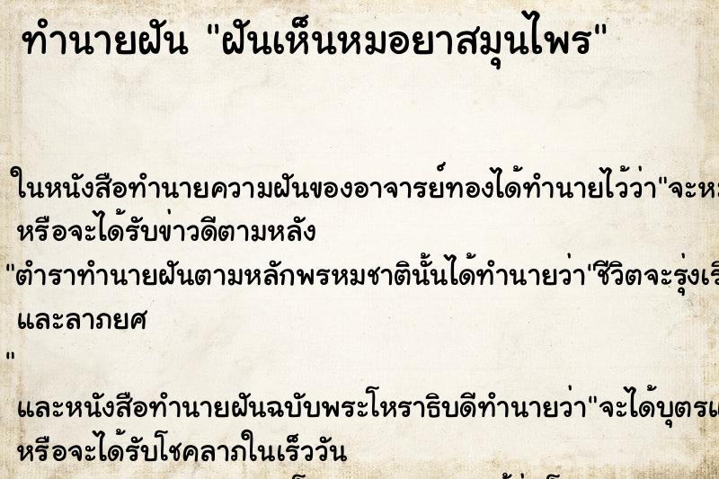 ทำนายฝันฝันเห็นหมอยาสมุนไพร ทำนายฝันทำนายฝันฝันเห็นหมอยาสมุนไพร