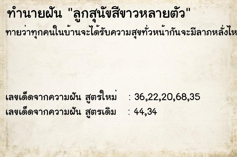 ทำนายฝันทำนายฝันลูกสุนัขสีขาวหลายตัว