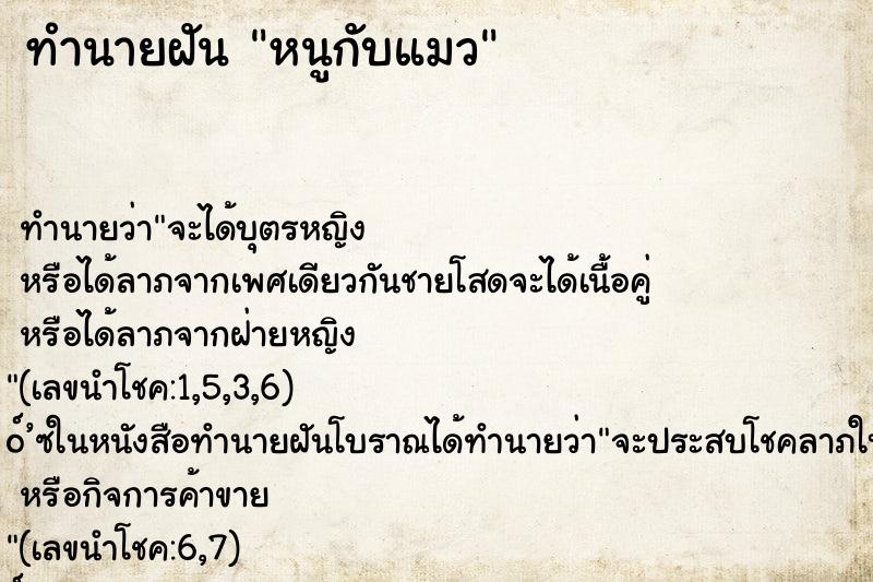 ทำนายฝันทำนายฝันหนูกับแมว