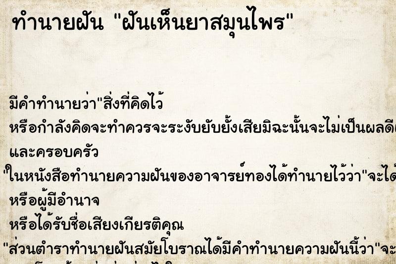 ทำนายฝันฝันเห็นยาสมุนไพร ทำนายฝันทำนายฝันฝันเห็นยาสมุนไพร