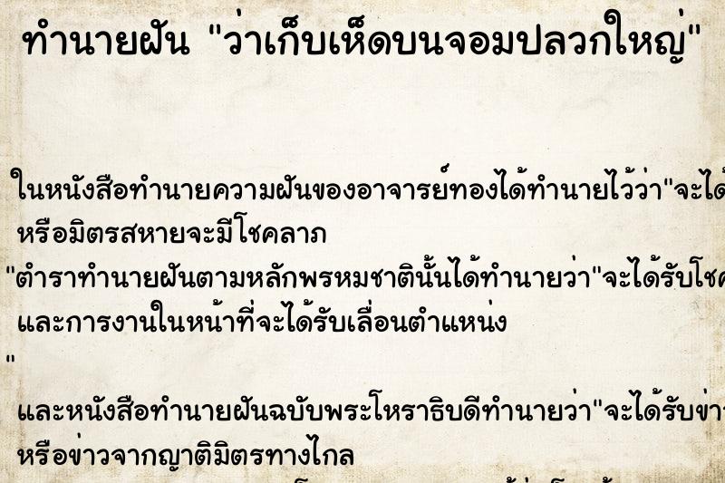 ทำนายฝัน ว่าเก็บเห็ดบนจอมปลวกใหญ่ ทำนายฝัน ว่าเก็บเห็ดบนจอมปลวกใหญ่
