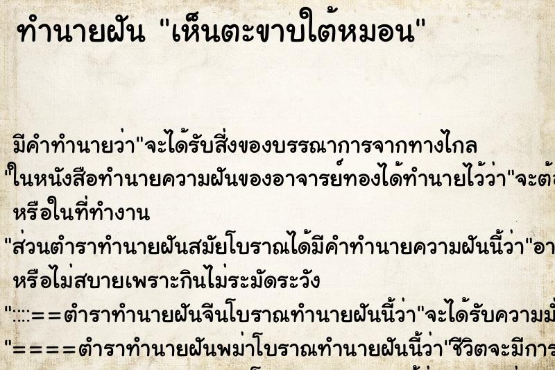 ทำนายฝันเห็นตะขาบใต้หมอน ทำนายฝันทำนายฝันเห็นตะขาบใต้หมอน
