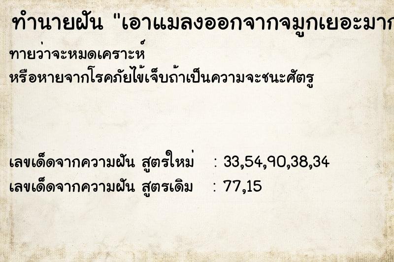 ทำนายฝันเอาแมลงออกจากจมูกเยอะมาก ทำนายฝันทำนายฝันเอาแมลงออกจากจมูกเยอะมาก