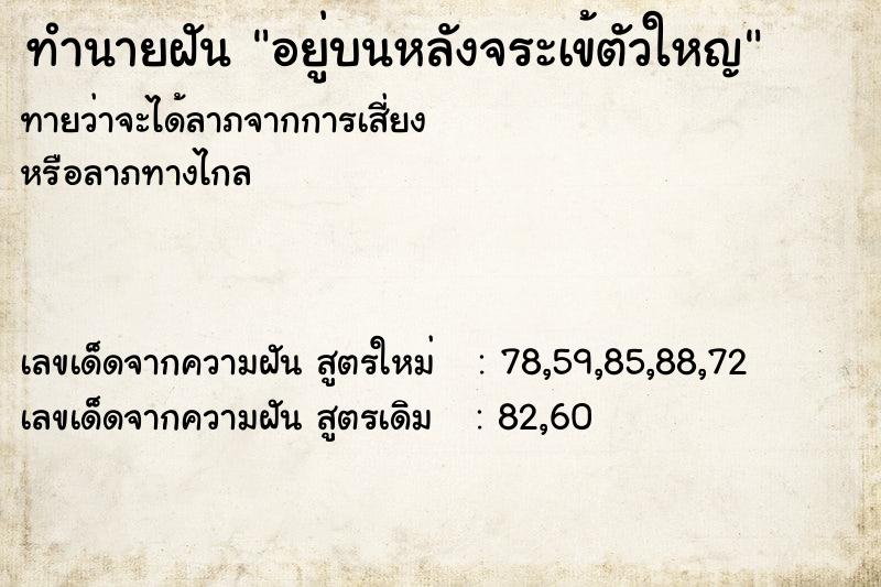 ทำนายฝันอยู่บนหลังจระเข้ตัวใหญ ทำนายฝันทำนายฝันอยู่บนหลังจระเข้ตัวใหญ