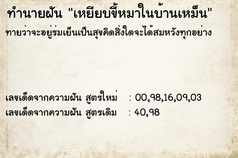 ทำนายฝันเหยียบขี้หมาในบ้านเหม็น ทำนายฝันทำนายฝันเหยียบขี้หมาในบ้านเหม็น