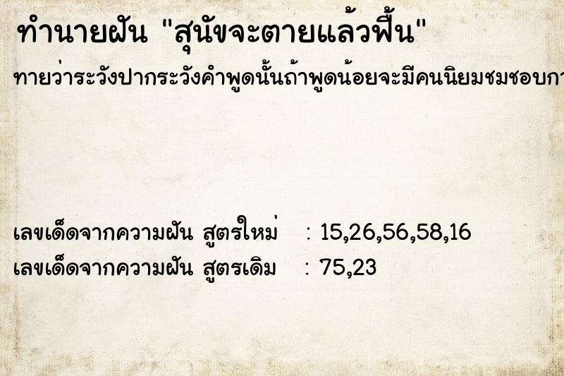 ทำนายฝันทำนายฝันสุนัขจะตายแล้วฟื้น