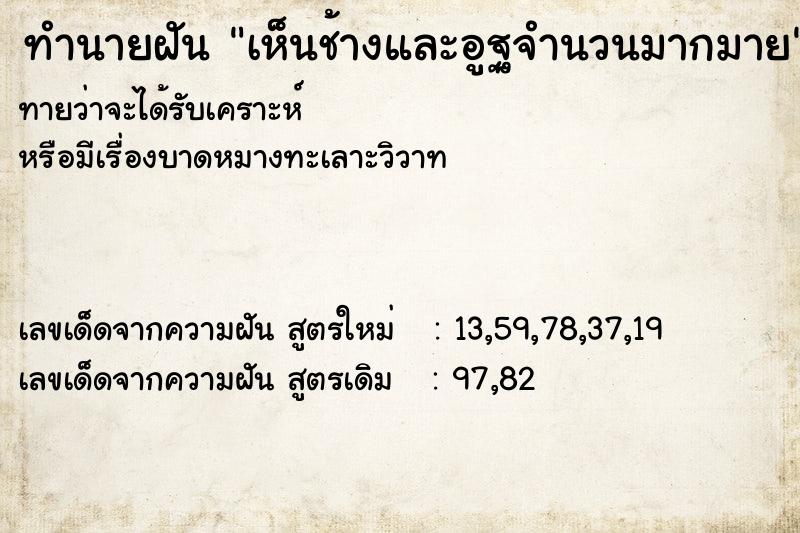 ทำนายฝันเห็นช้างและอูฐจำนวนมากมาย ทำนายฝันทำนายฝันเห็นช้างและอูฐจำนวนมากมาย