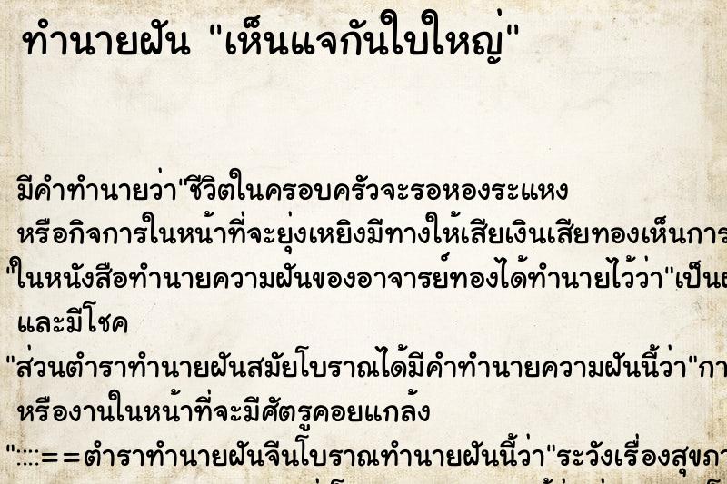 ทำนายฝัน เห็นแจกันใบใหญ่ ทำนายฝัน เห็นแจกันใบใหญ่