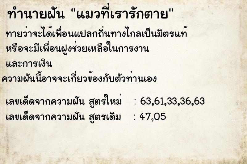 ทำนายฝันแมวที่เรารักตาย ทำนายฝันทำนายฝันแมวที่เรารักตาย