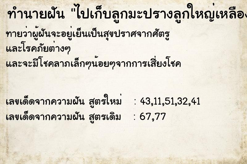 ทำนายฝันทำนายฝันไปเก็บลูกมะปรางลูกใหญ่เหลืองอร่าม