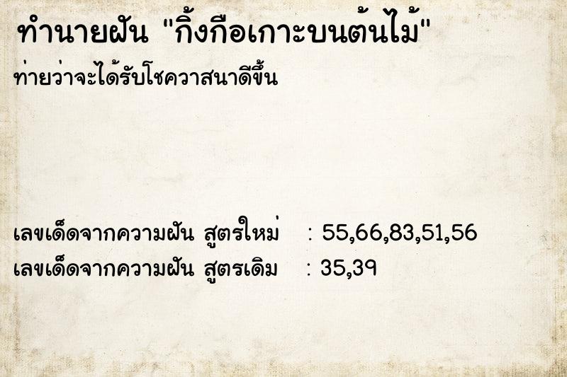 ทำนายฝัน กิ้งกือเกาะบนต้นไม้ ทำนายฝัน กิ้งกือเกาะบนต้นไม้