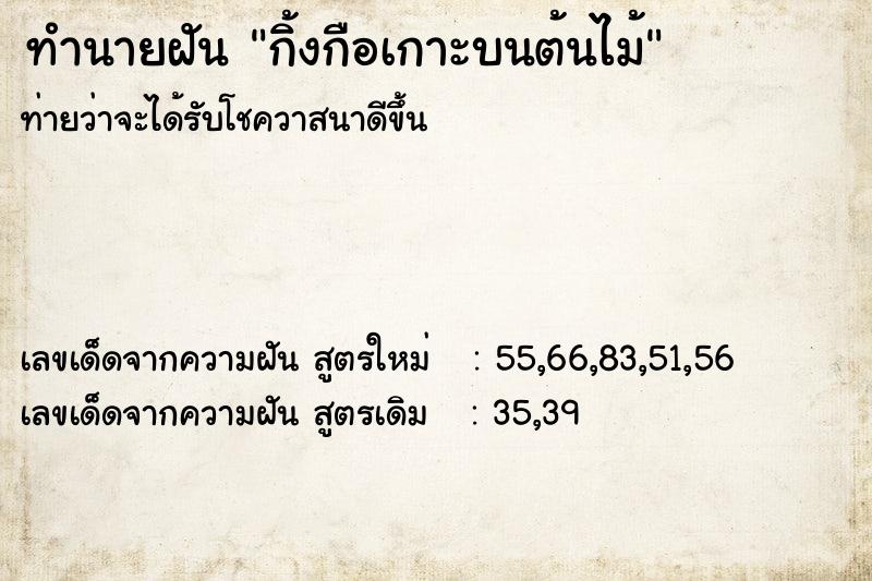 ทำนายฝัน กิ้งกือเกาะบนต้นไม้ ตำราโบราณ แม่นที่สุดในโลก