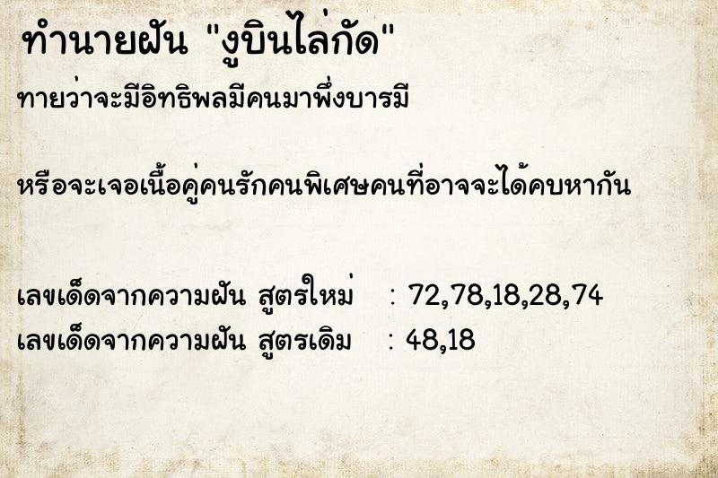 ทำนายฝันงูบินไล่กัด ทำนายฝันทำนายฝันงูบินไล่กัด