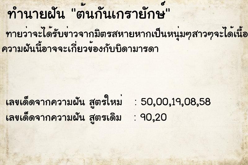 ทำนายฝันต้นกันเกรายักษ์ ทำนายฝันทำนายฝันต้นกันเกรายักษ์