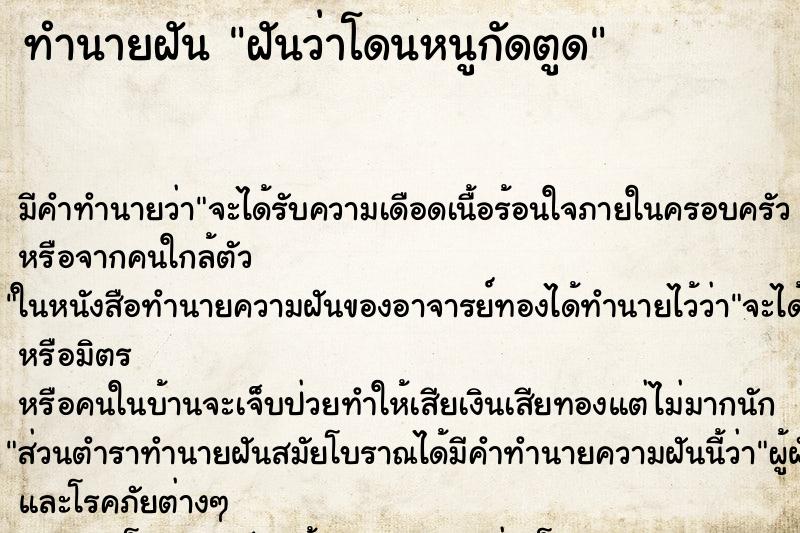 ทำนายฝันฝันว่าโดนหนูกัดตูด ทำนายฝันทำนายฝันฝันว่าโดนหนูกัดตูด
