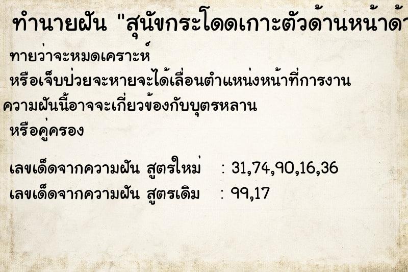 ทำนายฝันสุนัขกระโดดเกาะตัวด้านหน้าด้านหลัง ทำนายฝันทำนายฝันสุนัขกระโดดเกาะตัวด้านหน้าด้านหลัง
