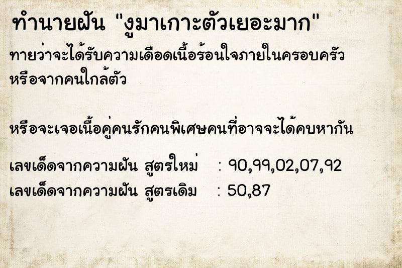 ทำนายฝันงูมาเกาะตัวเยอะมาก ทำนายฝันทำนายฝันงูมาเกาะตัวเยอะมาก