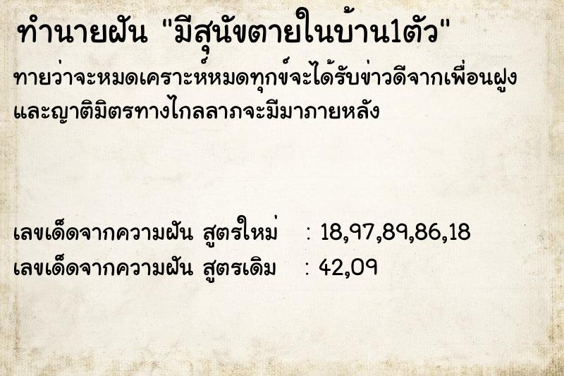 ทำนายฝันมีสุนัขตายในบ้าน1ตัว ทำนายฝันทำนายฝันมีสุนัขตายในบ้าน1ตัว