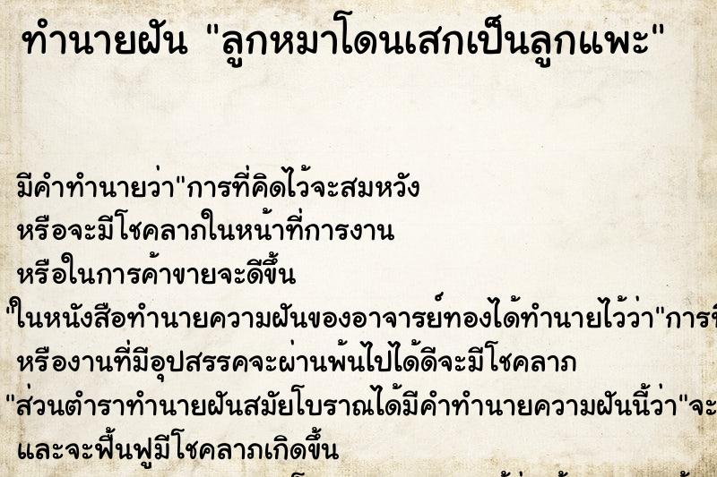 ทำนายฝันทำนายฝันลูกหมาโดนเสกเป็นลูกแพะ