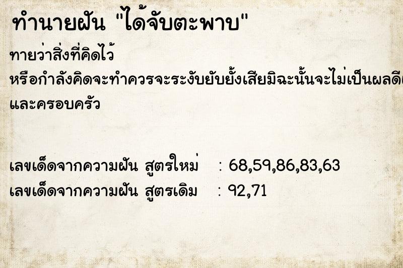 ทำนายฝันทำนายฝันได้จับตะพาบ