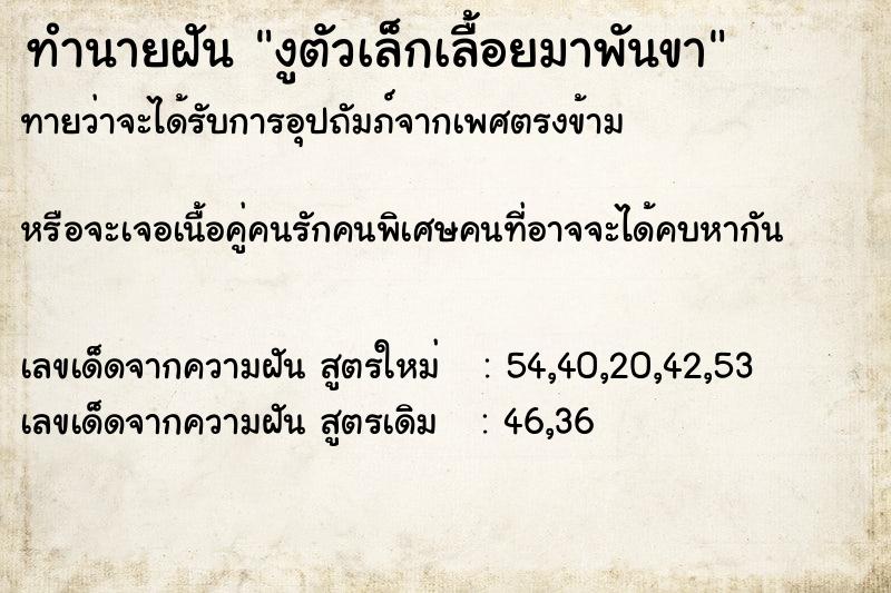 ทำนายฝันงูตัวเล็กเลื้อยมาพันขา ทำนายฝันทำนายฝันงูตัวเล็กเลื้อยมาพันขา