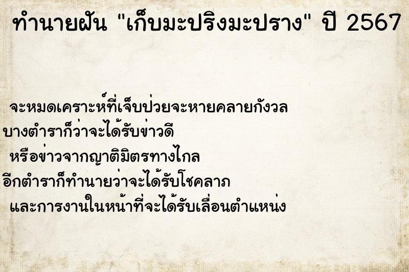 ทำนายฝัน เก็บมะปริงมะปราง ทำนายฝัน เก็บมะปริงมะปราง