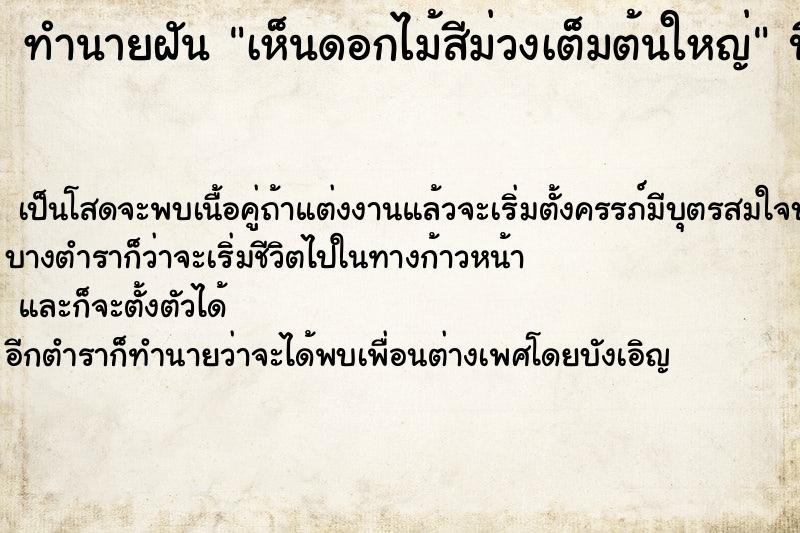 ทำนายฝันทำนายฝันเห็นดอกไม้สีม่วงเต็มต้นใหญ่