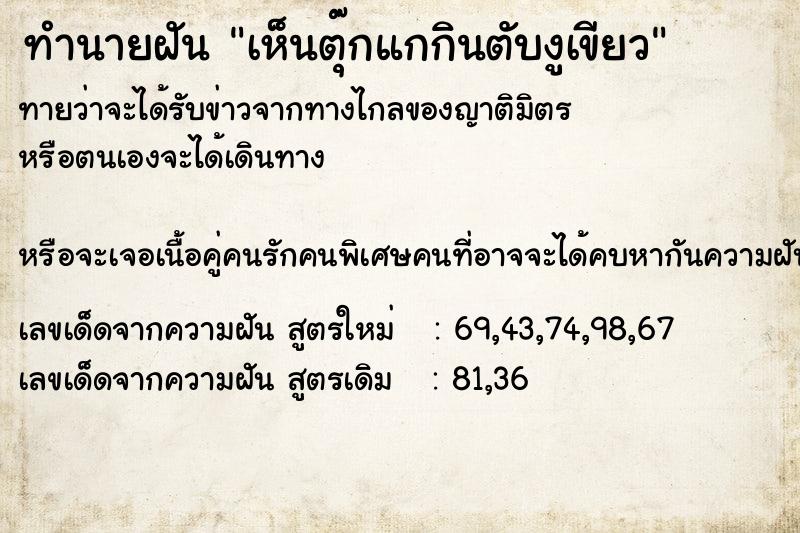 ทำนายฝัน เห็นตุ๊กแกกินตับงูเขียว ทำนายฝัน เห็นตุ๊กแกกินตับงูเขียว