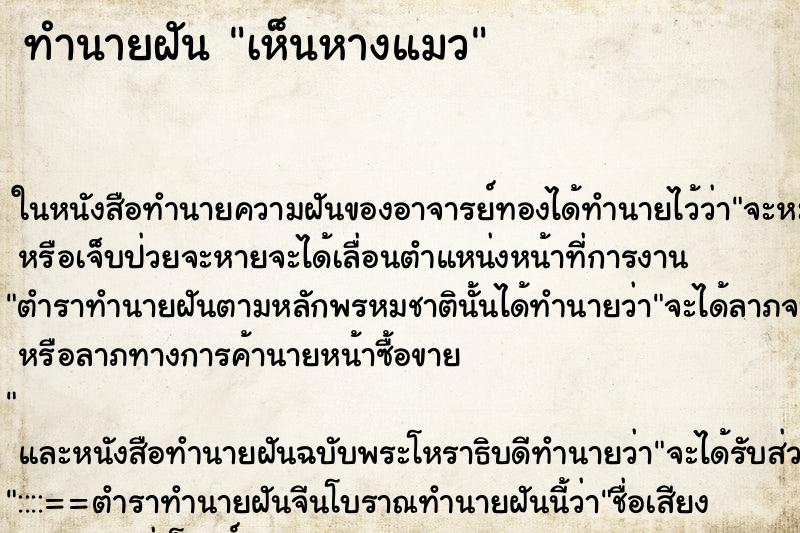 ทำนายฝัน เห็นหางแมว ทำนายฝัน เห็นหางแมว