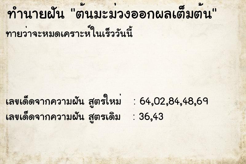 ทำนายฝันต้นมะม่วงออกผลเต็มต้น ทำนายฝันทำนายฝันต้นมะม่วงออกผลเต็มต้น