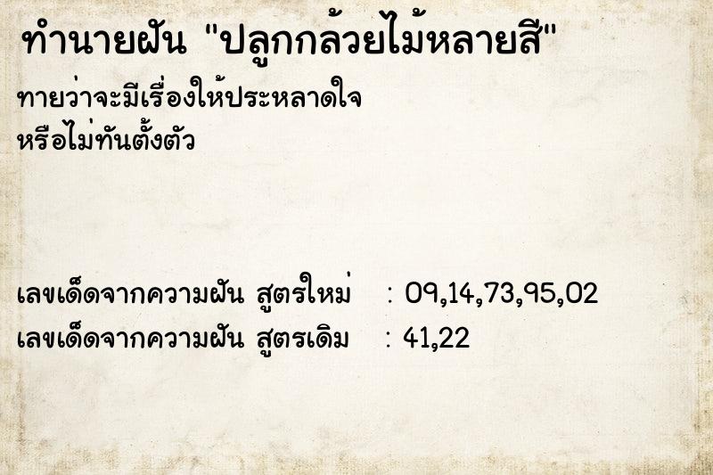 ทำนายฝันทำนายฝันปลูกกล้วยไม้หลายสี