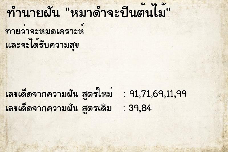 ทำนายฝันหมาดำจะปืนต้นไม้ ทำนายฝันทำนายฝันหมาดำจะปืนต้นไม้