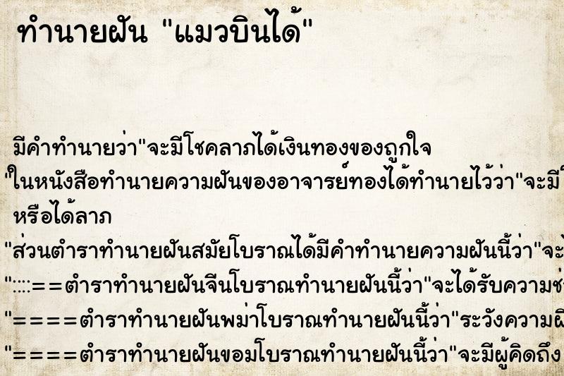 ทำนายฝันแมวบินได้ ทำนายฝันทำนายฝันแมวบินได้