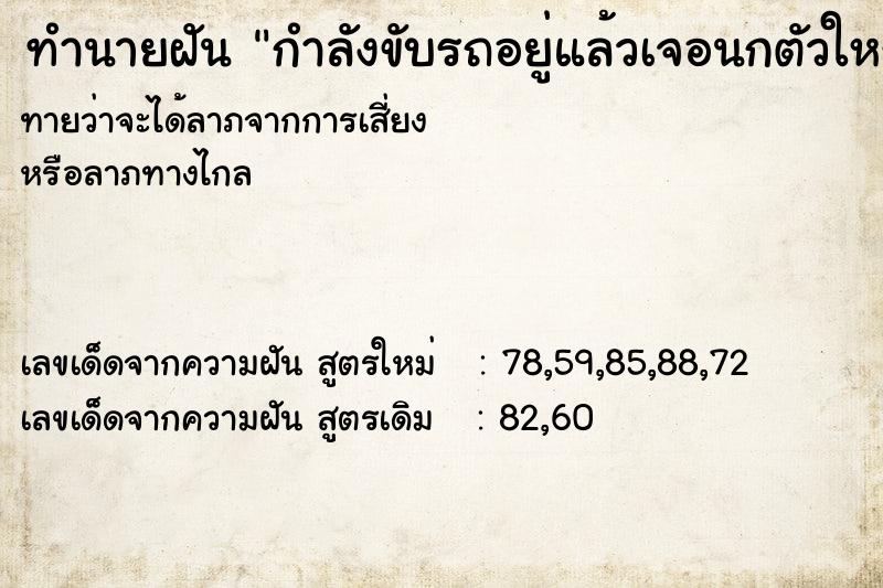 ทำนายฝันกำลังขับรถอยู่แล้วเจอนกตัวใหญ่จะมาชนหัว ทำนายฝันทำนายฝันกำลังขับรถอยู่แล้วเจอนกตัวใหญ่จะมาชนหัว