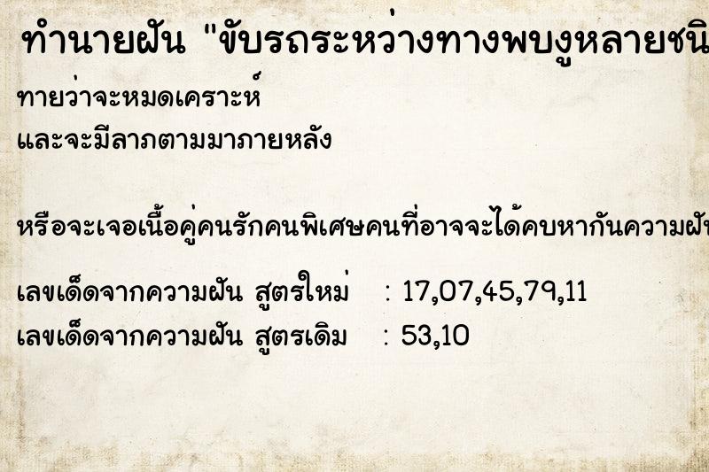 ทำนายฝันทำนายฝันขับรถระหว่างทางพบงูหลายชนิดมีอยู่ตามถนน