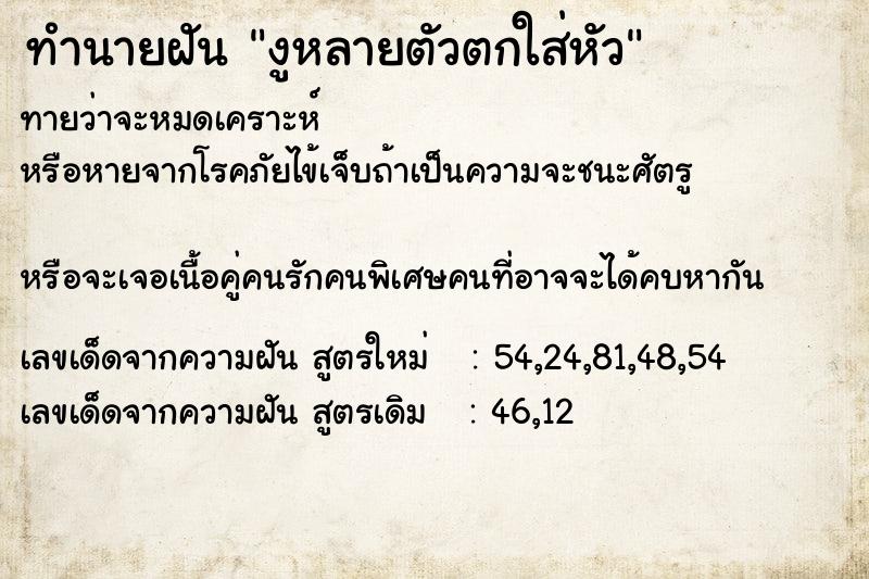 ทำนายฝันงูหลายตัวตกใส่หัว ทำนายฝันทำนายฝันงูหลายตัวตกใส่หัว