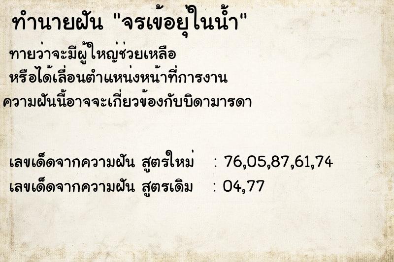 ทำนายฝันจรเข้อยุ่ในน้ำ ทำนายฝันทำนายฝันจรเข้อยุ่ในน้ำ