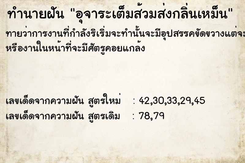 ทำนายฝัน อุจาระเต็มส้วมส่งกลิ่นเหม็น ทำนายฝัน อุจาระเต็มส้วมส่งกลิ่นเหม็น