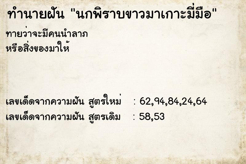 ทำนายฝันทำนายฝันนกพิราบขาวมาเกาะมี่มือ