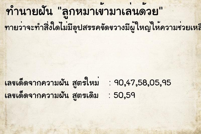 ทำนายฝันลูกหมาเข้ามาเล่นด้วย ทำนายฝันทำนายฝันลูกหมาเข้ามาเล่นด้วย