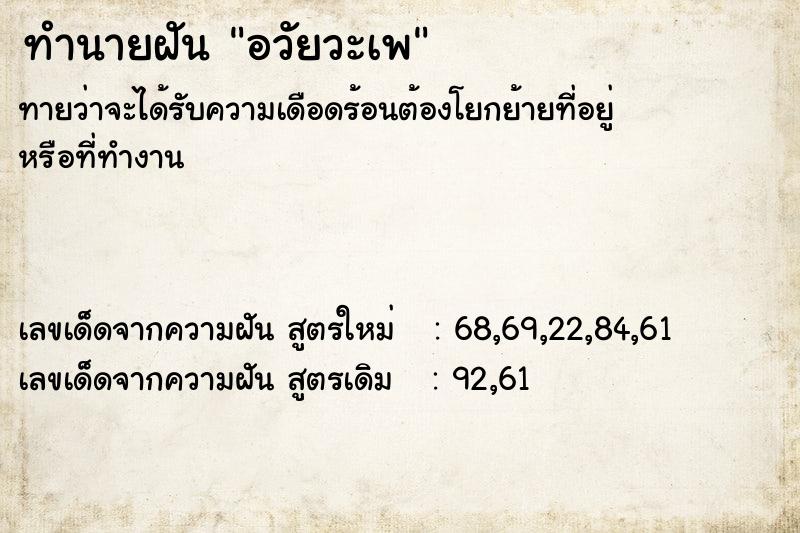 ทำนายฝันอวัยวะเพ ทำนายฝันทำนายฝันอวัยวะเพ