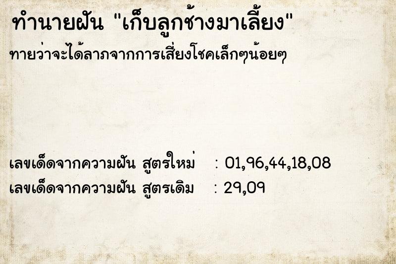 ทำนายฝันทำนายฝันเก็บลูกช้างมาเลี้ยง