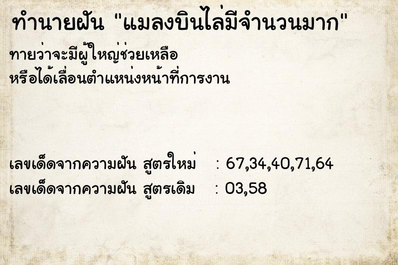 ทำนายฝันทำนายฝันแมลงบินไล่มีจำนวนมาก