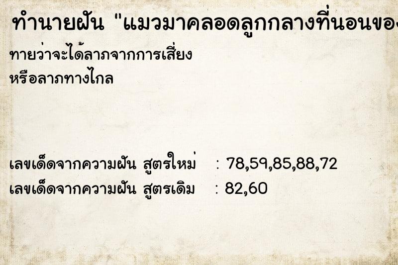 ทำนายฝันทำนายฝันแมวมาคลอดลูกกลางที่นอนของเรา