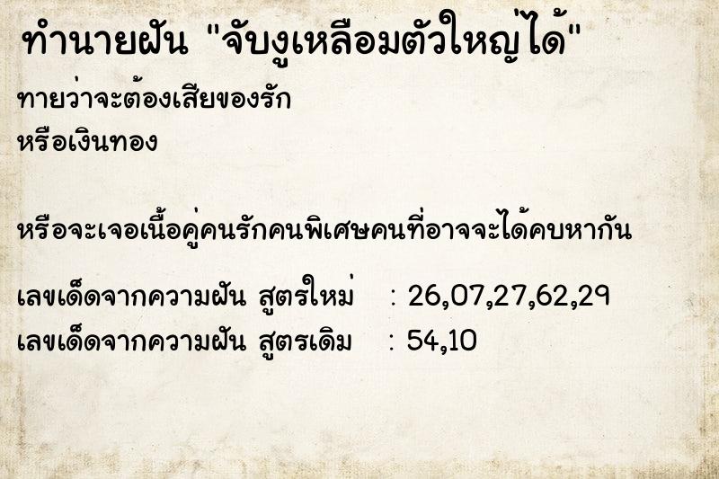 ทำนายฝันทำนายฝันจับงูเหลือมตัวใหญ่ได้