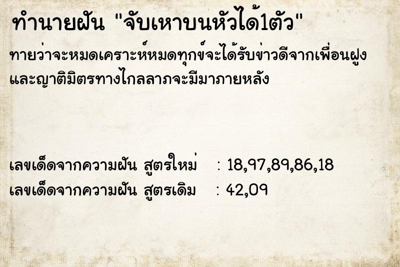 ทำนายฝันทำนายฝันจับเหาบนหัวได้1ตัว