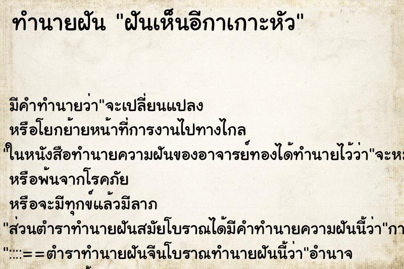 ทำนายฝัน ฝันเห็นอีกาเกาะหัว ทำนายฝัน ฝันเห็นอีกาเกาะหัว