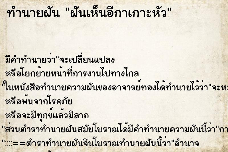 ทำนายฝัน ฝันเห็นอีกาเกาะหัว ตำราโบราณ แม่นที่สุดในโลก