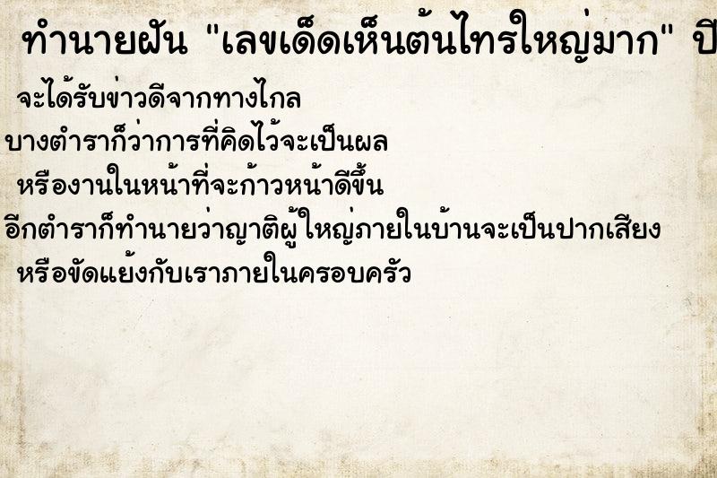 ทำนายฝันเลขเด็ดเห็นต้นไทรใหญ่มาก ทำนายฝันทำนายฝันเลขเด็ดเห็นต้นไทรใหญ่มาก